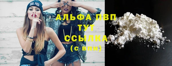 сатива Пересвет