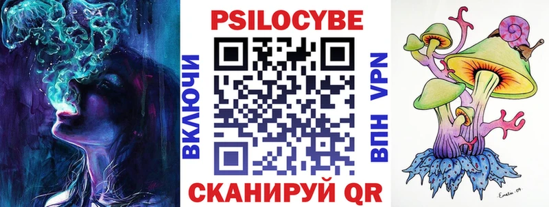 Купить  Сергач  Псилоцибиновые грибы Psilocybine cubensis 